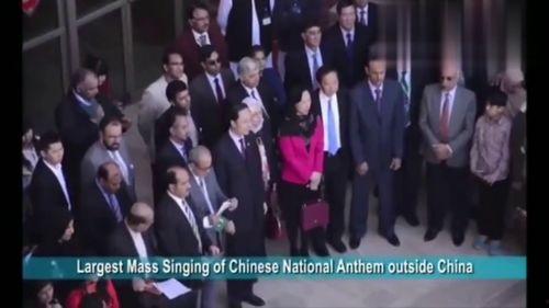 中国人震撼爆料视频全集,视频全集深度解析