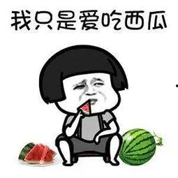 免费吃娱乐圈的瓜,免费吃尽明星瓜果盛宴 第2张 免费吃娱乐圈的瓜,免费吃尽明星瓜果盛宴 第2张