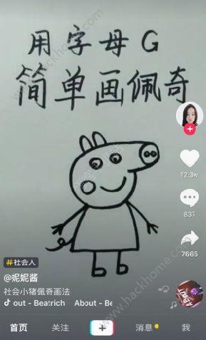抖音爆料小猪事件视频,小猪事件视频引发网友热议，真相究竟如何？