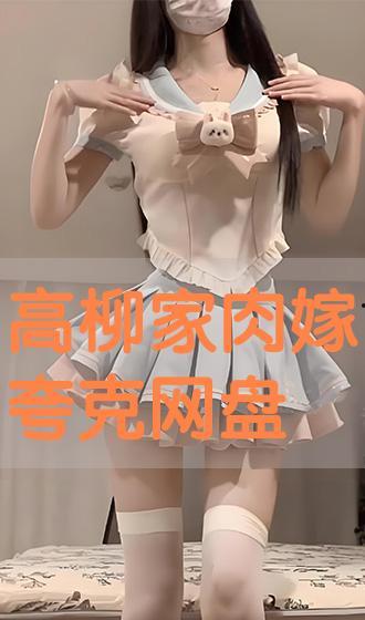 肉嫁人高柳家在线观看,高柳家的浪漫邂逅，在线观看甜蜜开启