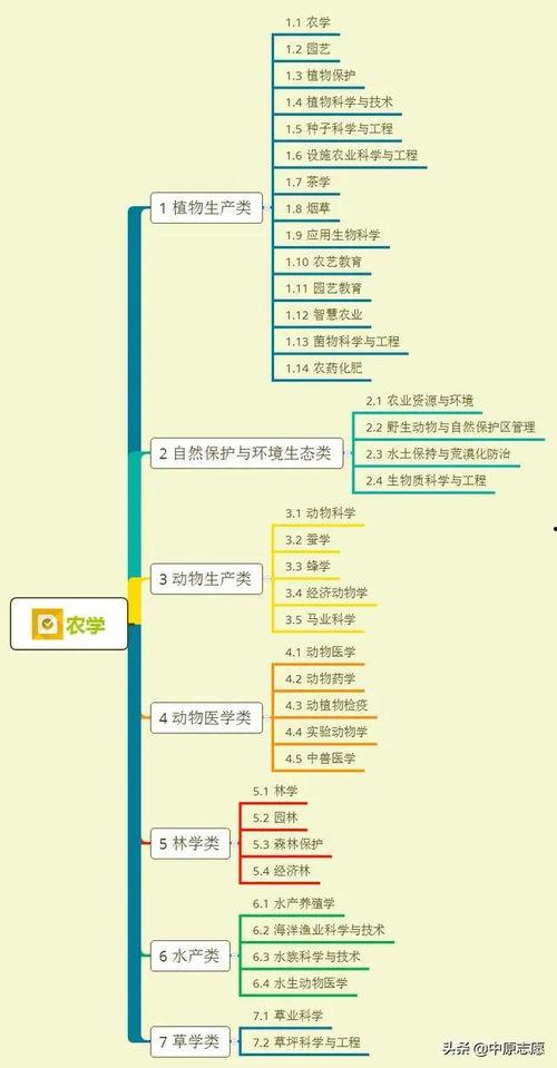 国安厨师爆料视频大全集,视频大全集背后的真实故事 第2张 国安厨师爆料视频大全集,视频大全集背后的真实故事 第2张