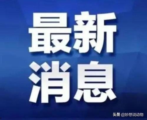 广西新闻怎么爆料求助的,如何有效维权与求助 第2张 广西新闻怎么爆料求助的,如何有效维权与求助 第2张
