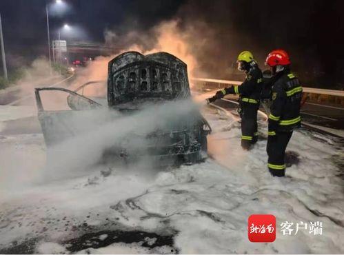 阿阳爆料洪大炮视频全集,洪大炮视频全集曝光,真相大白! 第2张 阿阳爆料洪大炮视频全集,洪大炮视频全集曝光,真相大白! 第2张