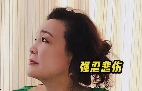 孟贺最新爆料视频大全播放,揭秘背后惊人真相
