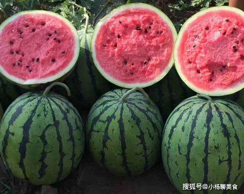最新吃瓜免费网站,最新免费吃瓜网站，海量资讯一网打尽！  第1张