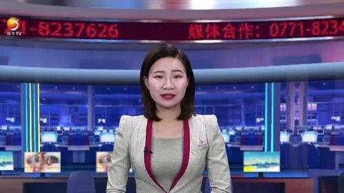宾阳吧新闻爆料,揭秘当地热点事件背后的真相  第1张