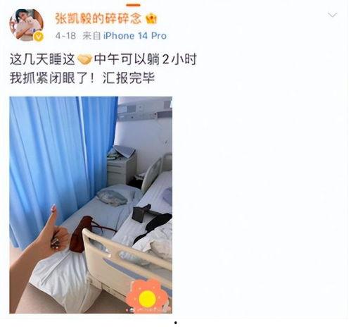 张凯毅男友爆料视频大全,揭秘背后真相与情感纠葛  第1张