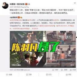 北京爆料大王事件视频播放,视频曝光背后的真相与争议 第3张 北京爆料大王事件视频播放,视频曝光背后的真相与争议 第3张