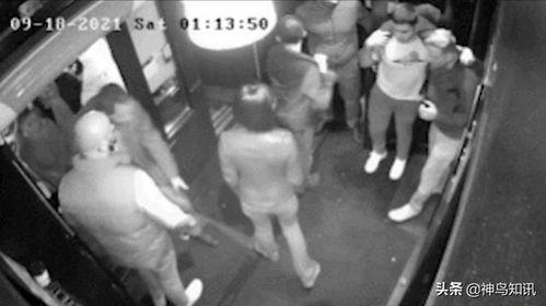 怎么爆料偷盗视频的人员,勇敢者如何揭露不法之徒的罪行  第1张