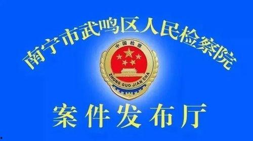 南宁武鸣爆料案件最新,真相渐明，疑云散去  第1张