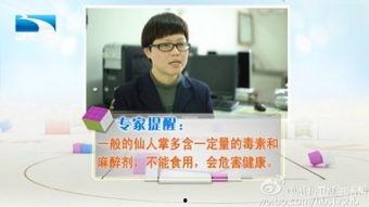 体湖北卫视直播在线观看,实时在线观看精彩瞬间 第2张 体湖北卫视直播在线观看,实时在线观看精彩瞬间 第2张