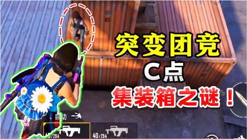 大白哥哥和平精英爆料最新,平精英全新内容大揭秘! 第3张 大白哥哥和平精英爆料最新,平精英全新内容大揭秘! 第3张