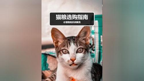 蓝氏猫粮爆料视频播放,揭秘猫粮品质背后的真相 第2张 蓝氏猫粮爆料视频播放,揭秘猫粮品质背后的真相 第2张